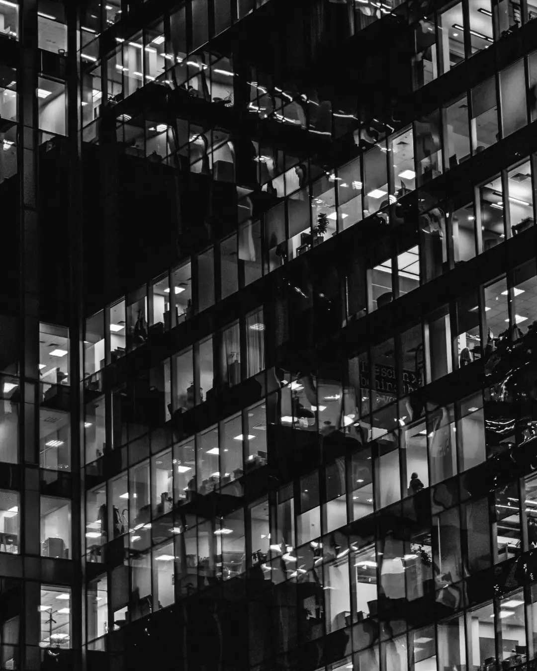 OMAI Insights - AI-resan börjar med ordning på er data